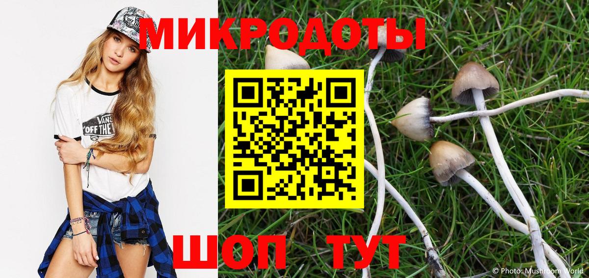 Псилоцибиновые грибы GOLDEN TEACHER Губаха