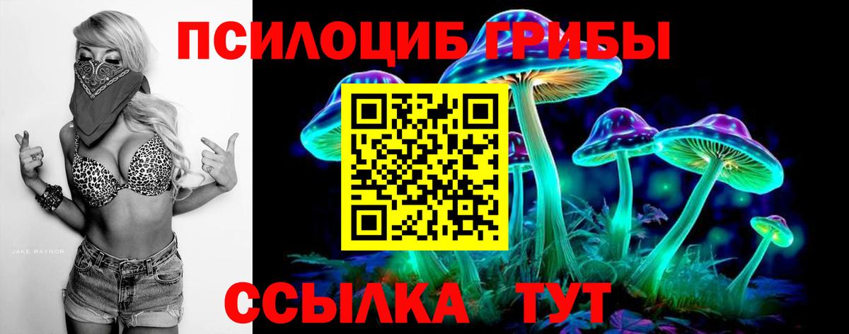 Галлюциногенные грибы Psilocybine cubensis  Галлюциногенные грибы GOLDEN TEACHER  Вход с VPN  Губаха 