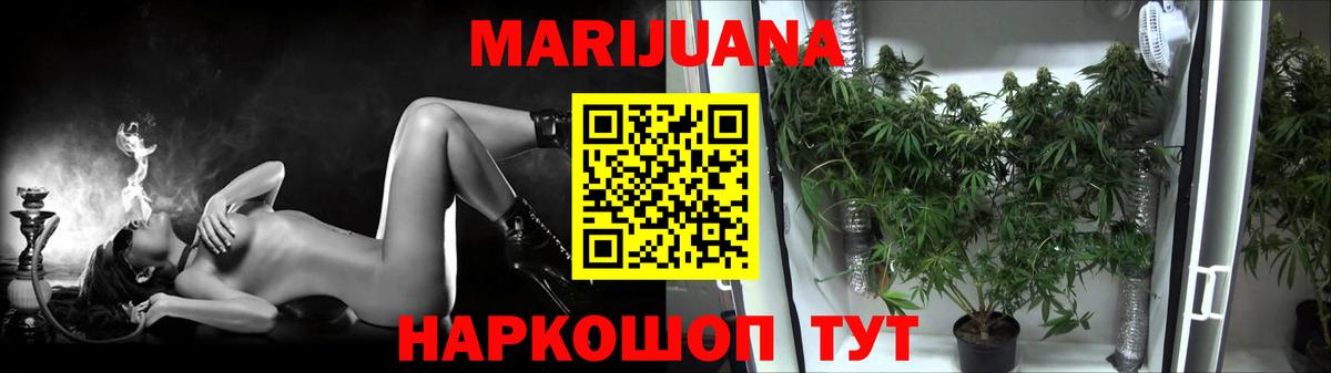 Губаха  Канабис гибрид  МАРИХУАНА OG Kush  Бошки Шишки планчик  Вход с VPN 